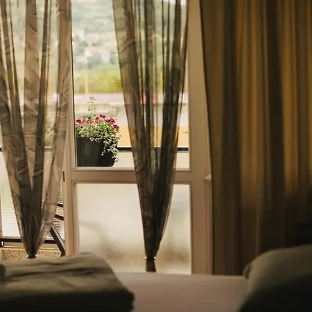 Sunce * ヴィソコ